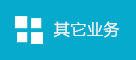 其他业务