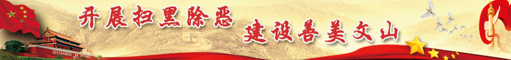 扫黑除恶